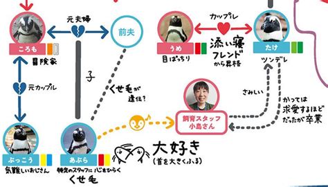 Japanese Aqarium S Flowchart Illustrates The Complex Relationships Of