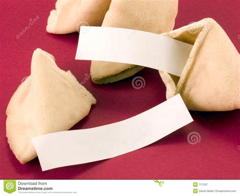 Blank Fortune Cookie Messages Royalty Free Stock Photo Cartoondealer