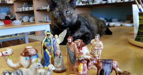 Get directions 364 bedford ave, 11249. New York Nativity's Grumpy Christmas Cat Is Bringing Joy ...
