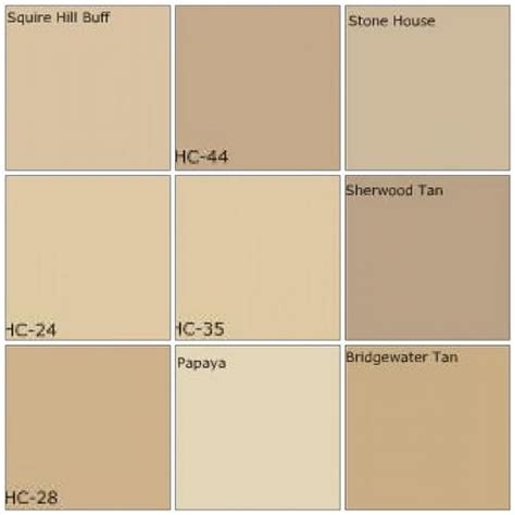 How To Choose The Best Beige Paint Color Paint Colors For Home Beige