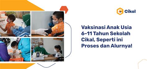 Vaksinasi Anak Usia 6 11 Tahun Di Sekolah Cikal Seperti Ini Proses Dan