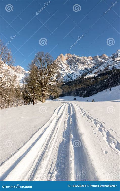 Sunny Winter Landscape In The Nature Mountain Range Footpath Snowy