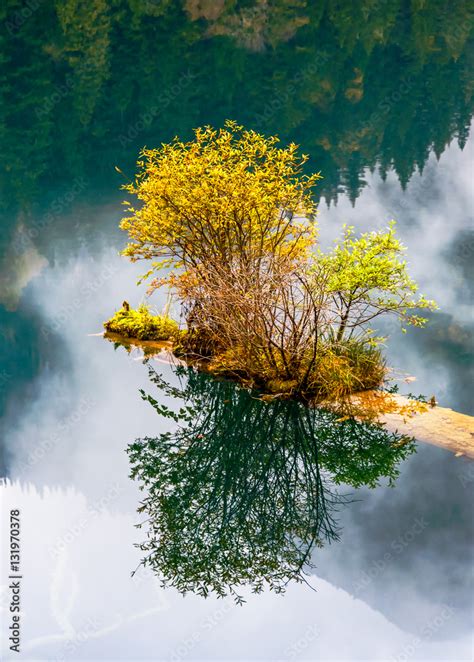 The Lake With Submerged Tree Trunks Jiuzhaigou Valley Was Recognize By