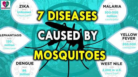5 Diseases Caused By Mosquitoes Other Than Dengue And Malaria Best