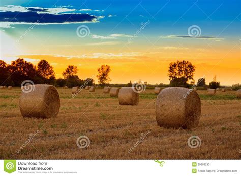 Sunset Over The Hay Bale Field Stock Image Image Of Food