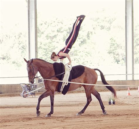 Pin By Alison Kidd On Vaulting