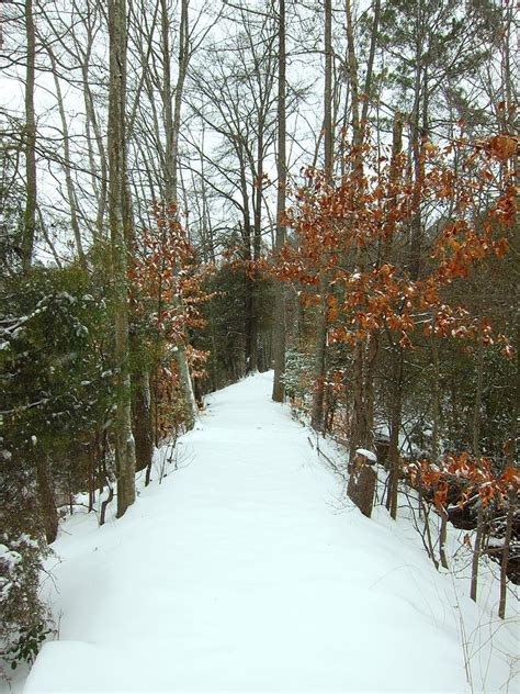 Walkway In The Snow Photograph By Gordon Cain Pixels