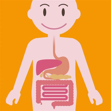 Improve Your Childs Gut Health After Antibiotics Ecoparent Magazine
