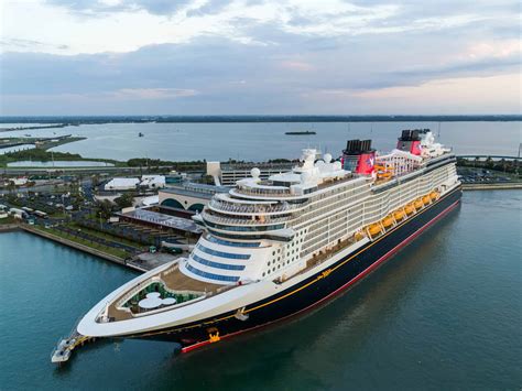 Can I Take My Dog On A Disney Cruise Heres How To Do It Properly