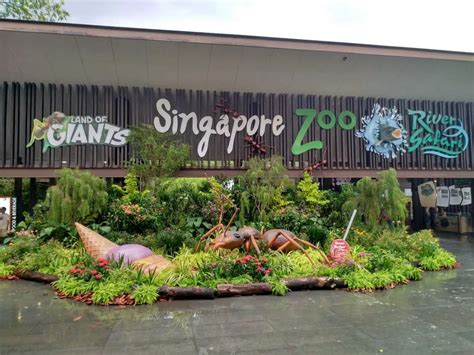 River Safari Singapore Zoo Ticket Price Opening Hours And Map