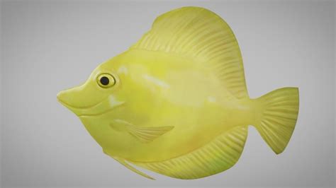 3d Asset Rigged Yellow Tang Fish Cgtrader
