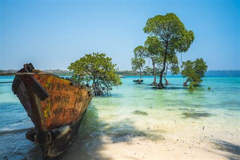 Havelock Island In Andaman Beautiful Indian Island In Paradise