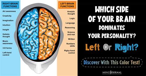 Left Brain Vs Right Brain Color Test 10 Exciting Questions