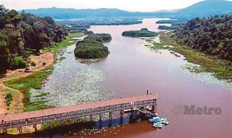 Tasik Chini Kekal Status Rizab Biosfera Unesco Harian Metro