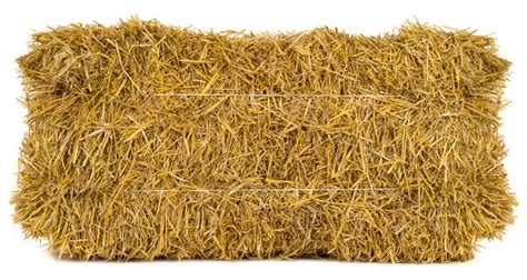 How Much Does A Bale Of Hay Cost Types And Factors Affecting Price