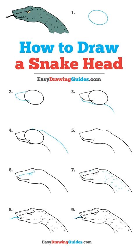 Free snake head icons in various ui design styles for web and mobile. How to Draw a Snake Head - Really Easy Drawing Tutorial