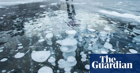 Frozen Bubbles In Canadian Lakes In Pictures World News The Guardian