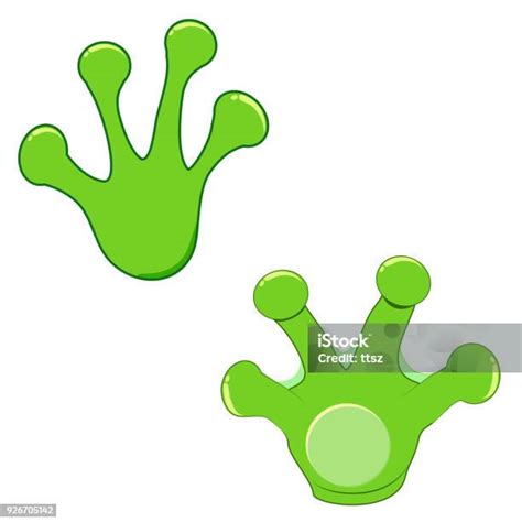 Frog Paw Footprint Of The Tree Frog Stock Illustration Download Image
