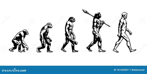Evolution Of Man With Label