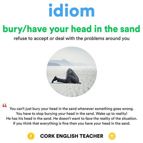 Idiom Buryhave Your Head In The Sand Idioms Head In The Sand