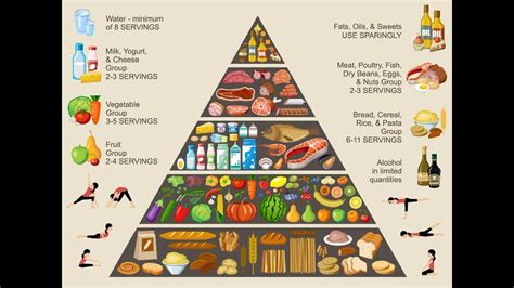 6 to 11 servings of bread, cereal, rice and pasta occupied the large base of the pyramid; Food Pyramid, Eating Healthy Lifestyle | معلومة Ten