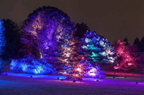 Morton Arboretum Christmas Lights Christmas Lights Ideas