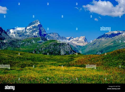 High Plateau Flower Hi Res Stock Photography And Images Alamy