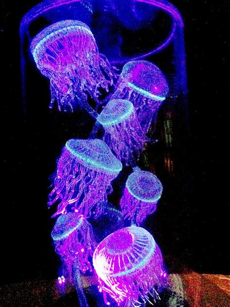 Jellyfish Bioluminescent And Fluorescent Глубоководные животные