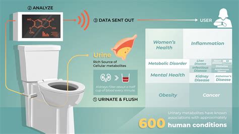 Are ‘smart Toilets The Next Step In The Personalised Health Data
