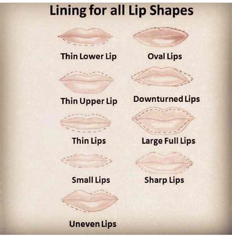 Along with this characteristic, the person with these types of lips is generally very protective in nature. Lining for different lip shapes | Lip shapes, Lip ...