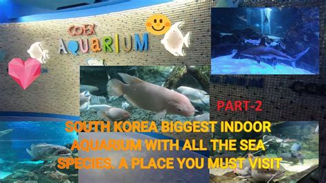 Coex Aquarium Seoul South Korea One Of The Biggest Indoor Aquarium Of