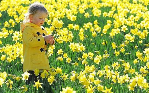 Spring Is Here As Sunny Weather Sweeps Britain Telegraph