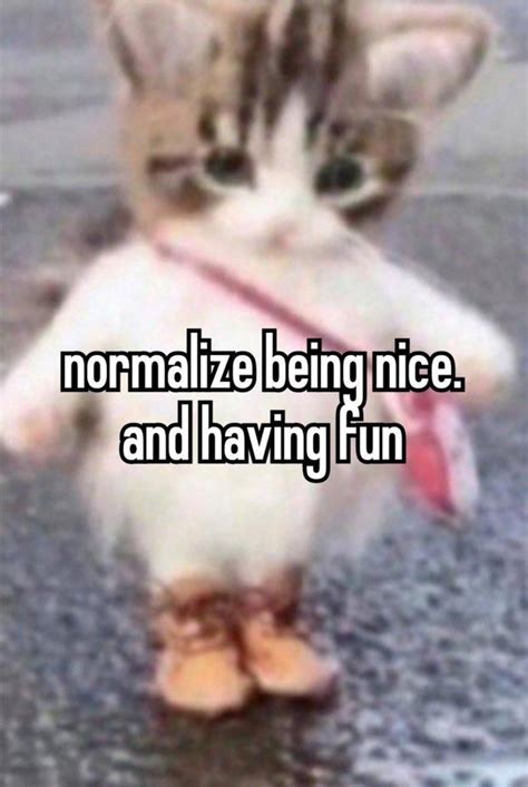 Normalize Being Nice And Having Fun Hehe Cat Know Your Meme
