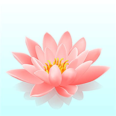 Fleur De Lotus Dessin Bricolage Maison Et Décoration