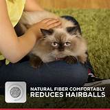 Hairball Control Wet Cat Food Images