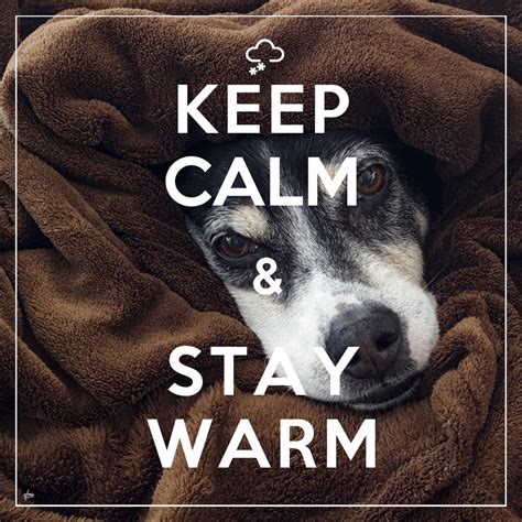 5 Ways To Stay Warm Without Increasing Your Heating Bill