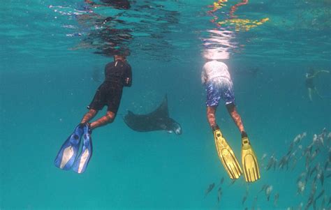 Snorkeling With Manta Rays Where Is Maldives Travel Guide