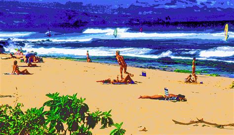 Maui Beach Scene Image Photograph By Paul Price