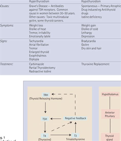Hyperthyroidism And Hypothyroidism Download Table
