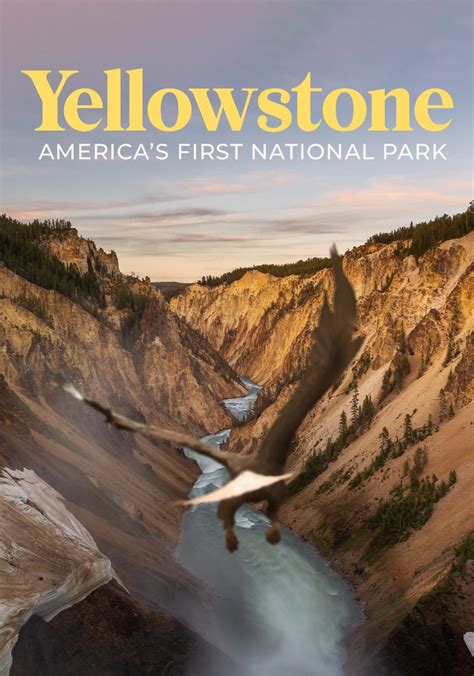 Yellowstone Americas First National Park Stream