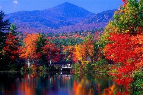 A Typical Autumn New Hampshire Day New England Fall Fall Foliage