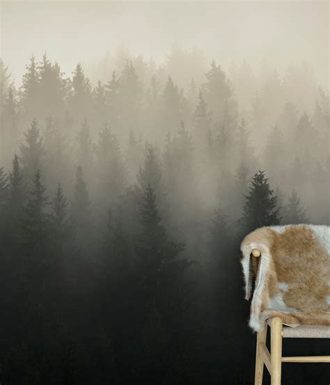 Misty Pine Forest Wall Mural 6122