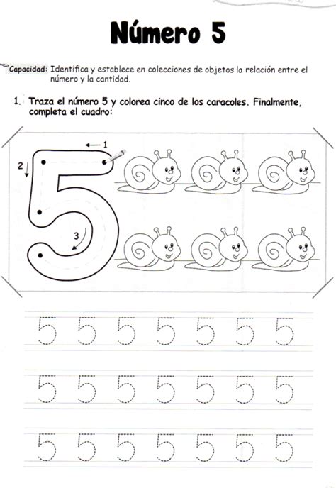 El Número 5 5 Años Material De Aprendizaje Números Preescolar