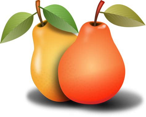 Pears 1920xx1920 Everyday Food Pear Fruit Fruits Pear Clipart