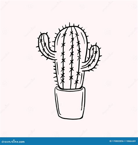 Cactus Simple Vector Doodle Style Drawing Linear Illustration