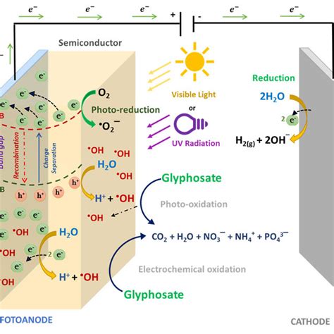 Glyphosate Adsorption Mechanism Of Carbon Absorbents And Iron Based