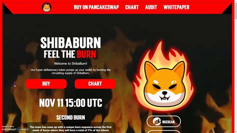 Shiba Burn Token 🔥🔥🔥 Shiba Burn Feel The Burn 🔥🔥🔥technical Analysis 🔥🔥🔥 Price Prediction 🔥🔥🔥