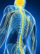 Do I have nerve pain? | Institute of Sports and Spines | Tingalpa