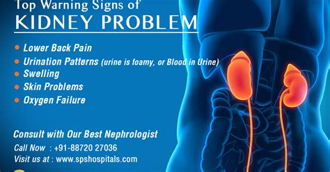 Kidney Infection Or Back Pain Kidrizi