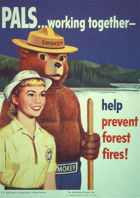 Smokey Bear S Firt Fire And History Yellowstone